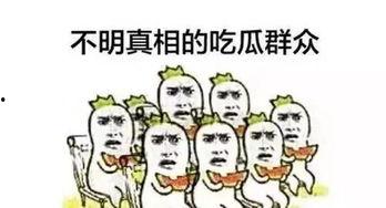 娱乐领域吃瓜群众,吃瓜群众揭秘幕后真相